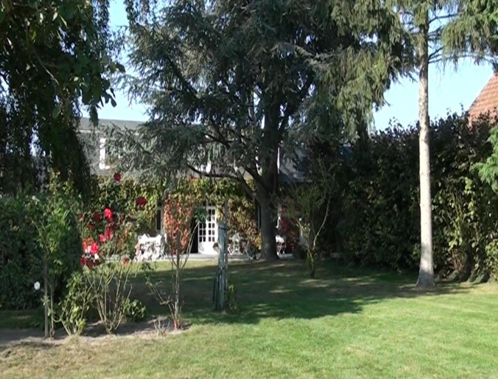 Hotel Le Petit Pont Moncé-en-Belin Zewnętrze zdjęcie